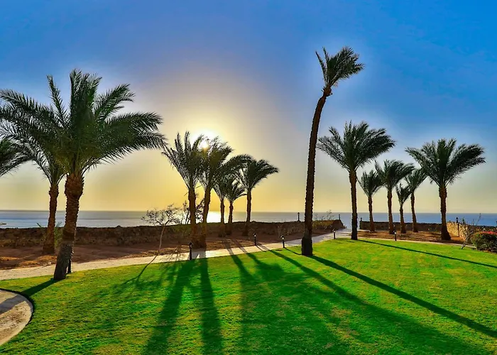 Ecotel Bay View אתר נופש דהב